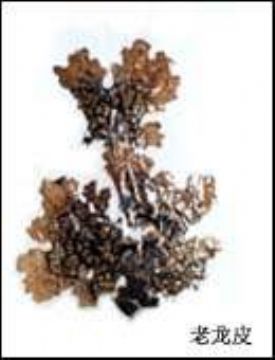 Sell  Lung Lichen Extract